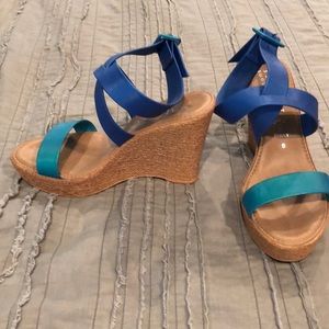 Blue and teal wedges